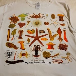 Marine Animals Tee Sz L